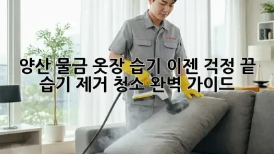 양산 물금 옷장 습기, 이젠 걱정 끝! 습기 제거 청소 완벽 가이드