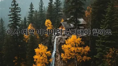 이사 예약, 미리미리 준비해야 할까요?