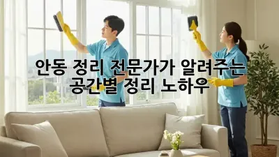안동 정리 전문가가 알려주는 공간별 정리 노하우!